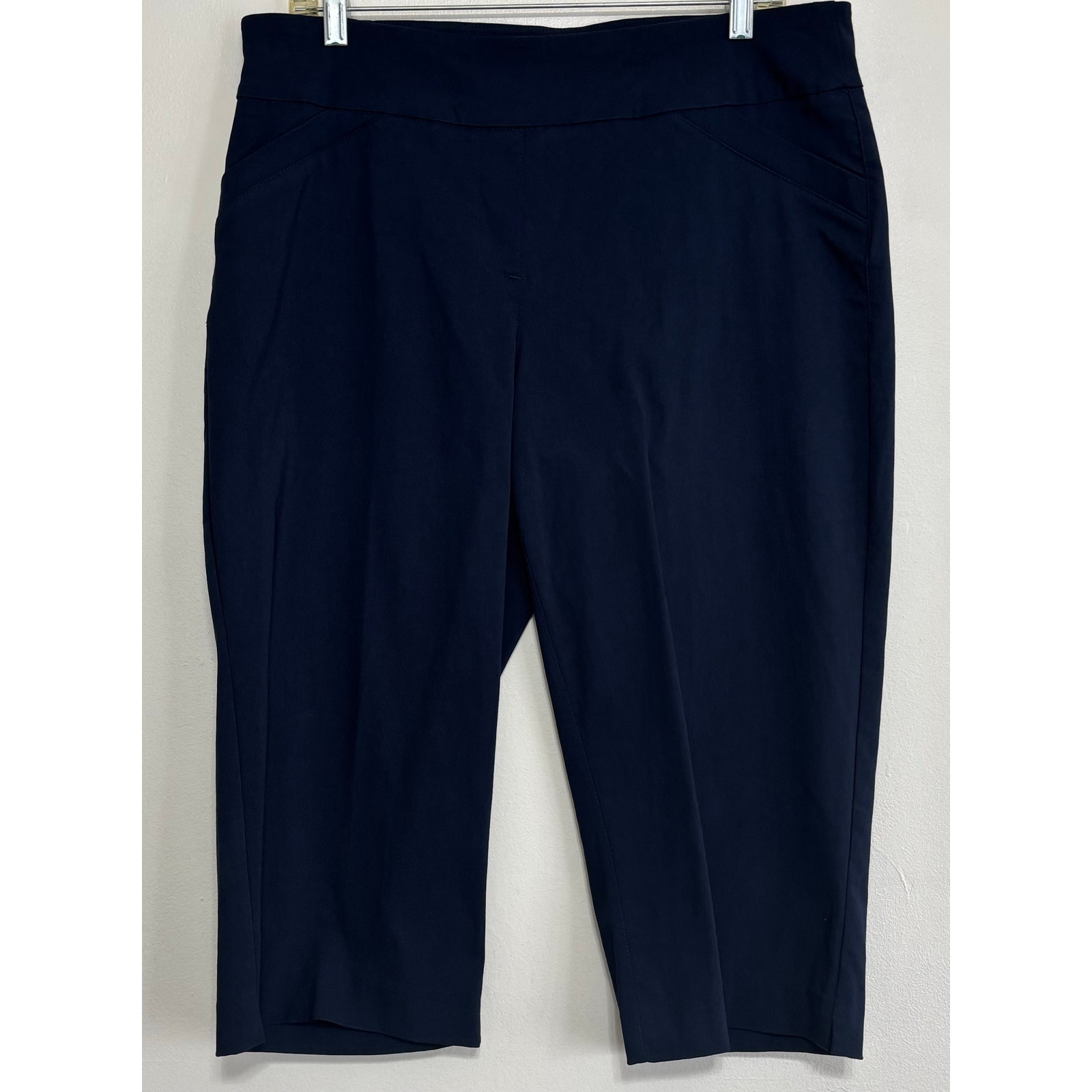 Coral Bay Blue Tummy Control Capri Pants 16p